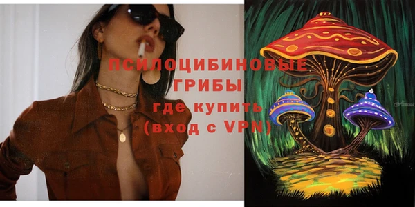 герыч Алексин