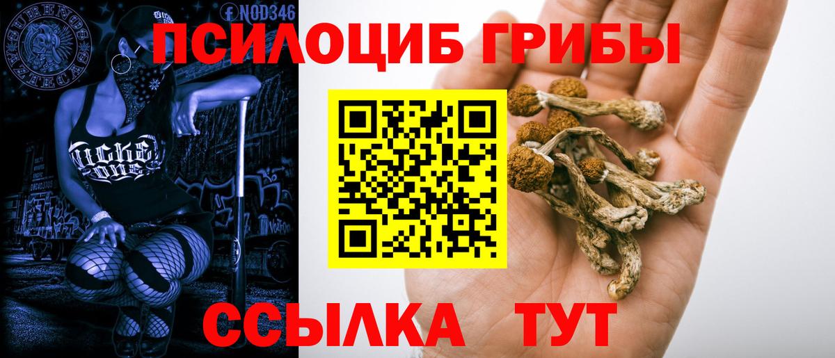 Галлюциногенные грибы MAGIC MUSHROOMS  Вход с VPN  Анжеро-Судженск 