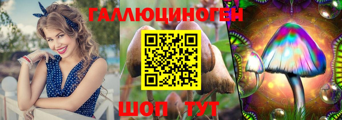 Псилоцибиновые грибы ЛСД Анжеро-Судженск